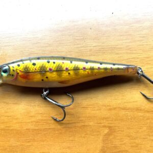 Minnow Rapala BX minnow 10 cm 12 gr