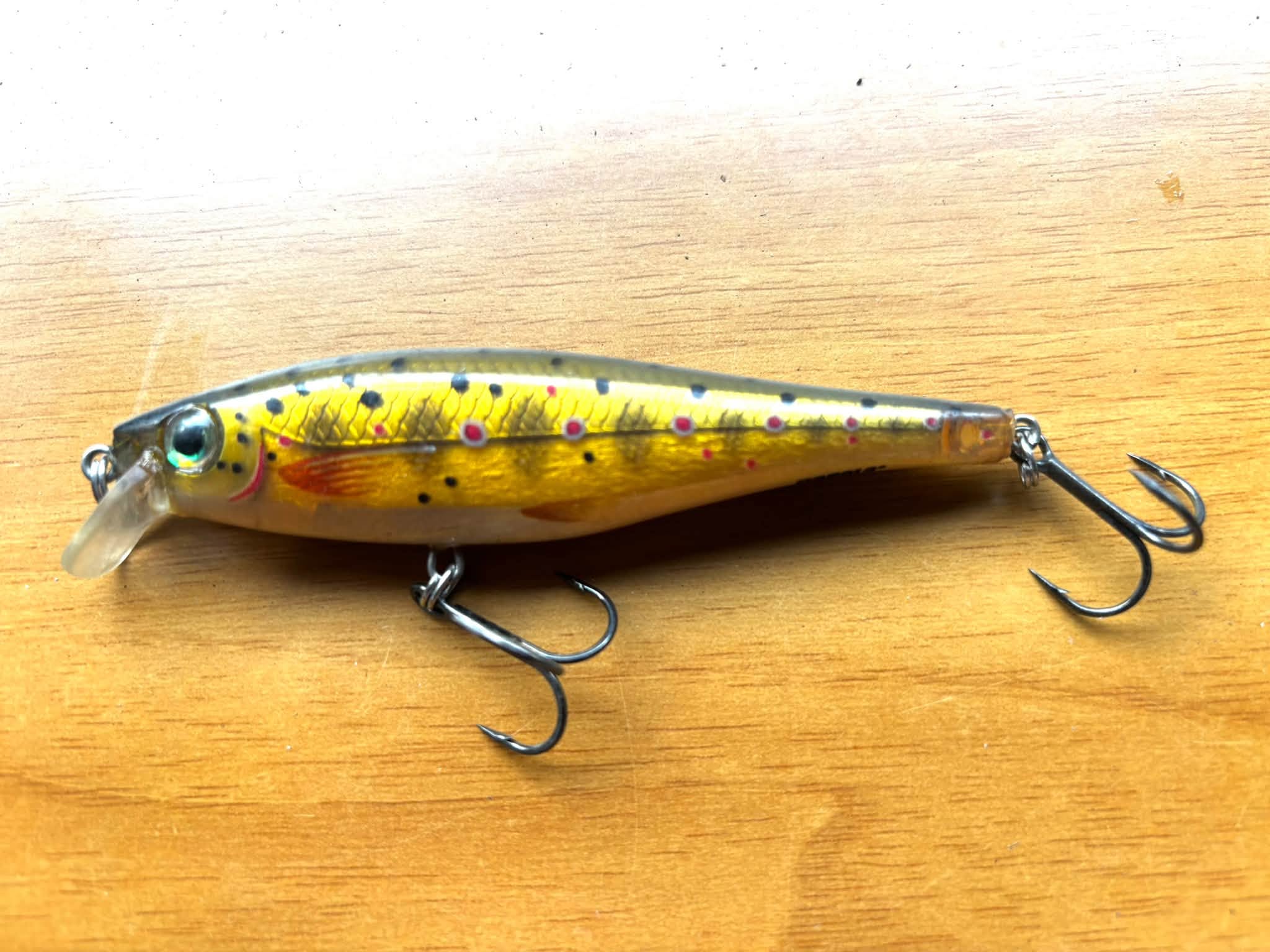 Minnow Rapala BX minnow 10 cm 12 gr